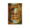 The Overstory by Richard Powers