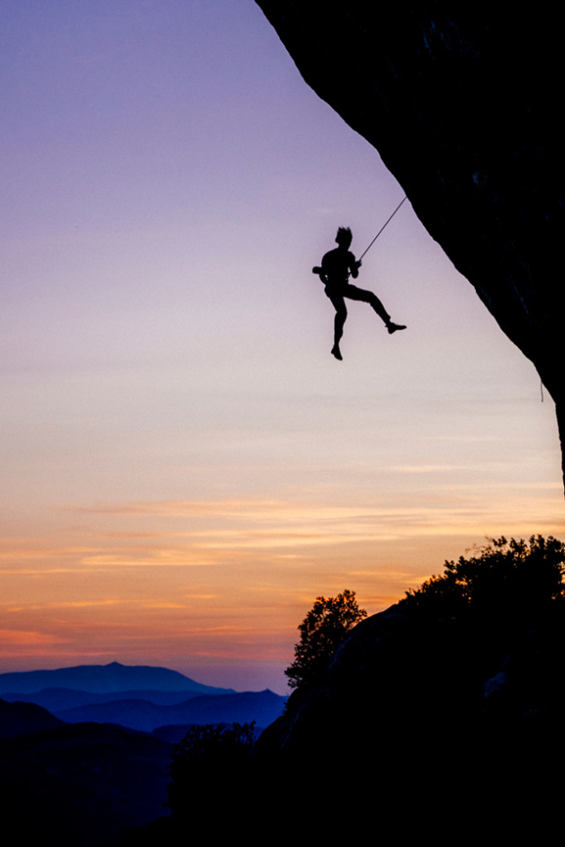 Sunset whipper. Photo: Ken Etzel