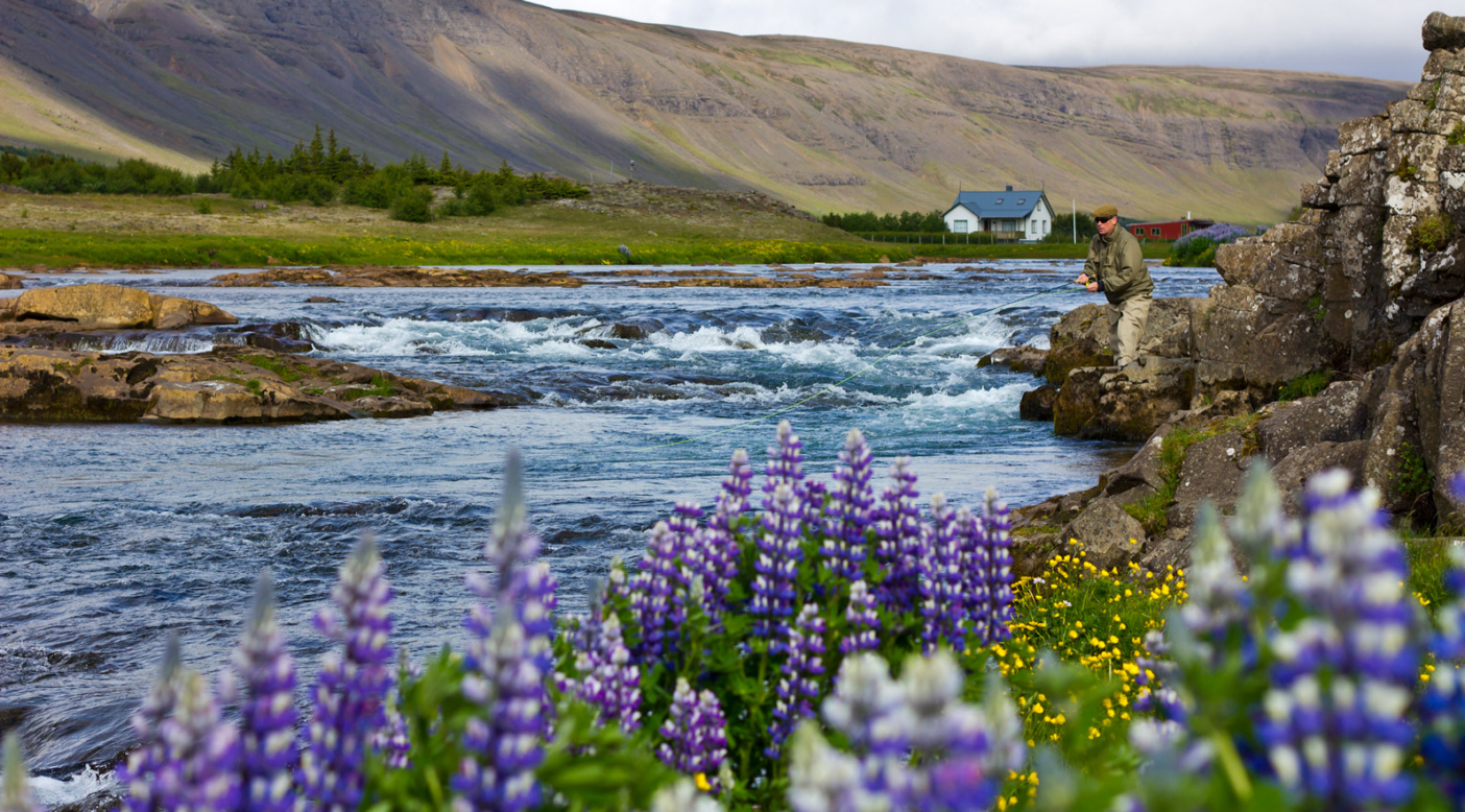 Located in a stunning, glacially-forged valley in southwest Iceland, the Laxá in Kjós is considered one of the best small salmon streams in the world. The wild Atlantic salmon, sea trout and views, however, are anything but diminutive. Photo: Oskar Sveinsson