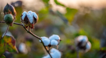 Cómo estamos reduciendo nuestra huella de carbono