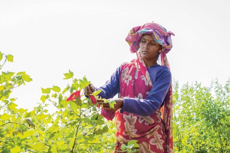 Where Our Workers Will Be Most Impacted by Climate Change