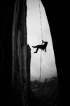Lessons from Yosemite’s First Climbing Guidebook