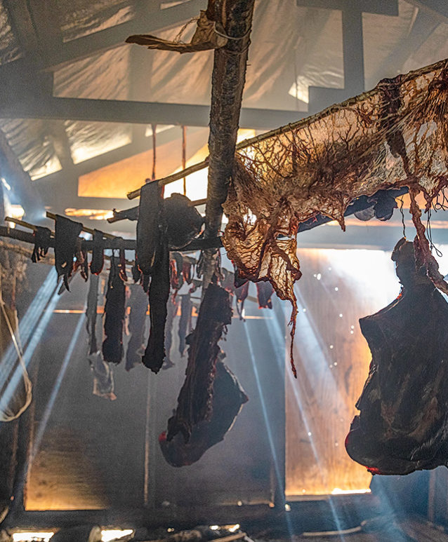 Caribou meat is hung in a smoke cache, then stored in freezers for the winter. Youth learn from the elders how to prepare and store food to last through the cold months. Photo: Keri Oberly
