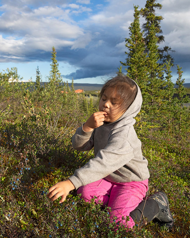 Arianna Gilbert takes a tasting break while learning how to forage for berries, a Gwich’in tradition. Photo: Keri Oberly