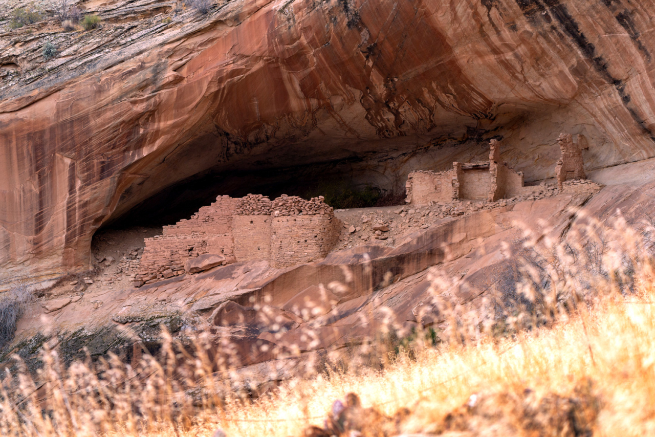 Celebrate Bears Ears The Cleanest Line
