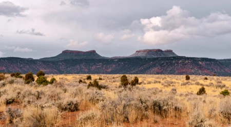 Celebrate Bears Ears. And Visit with Respect.