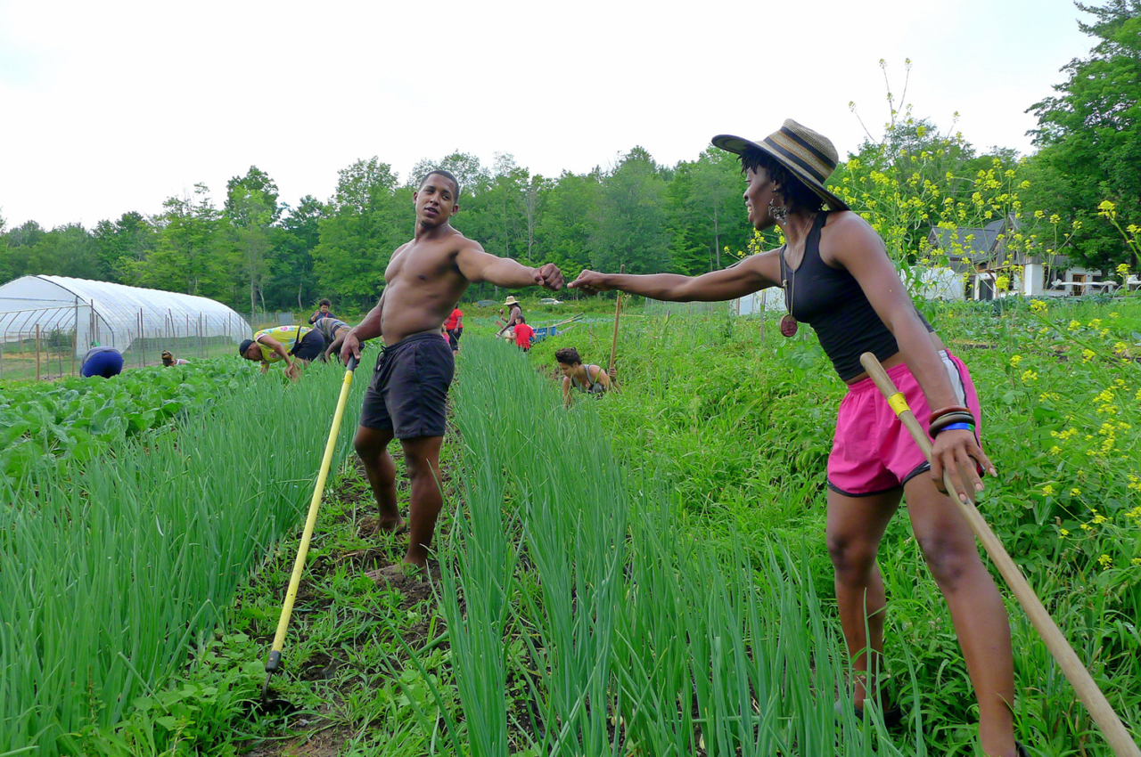 Fist bump between two participants in Soul Fire Farm’s Black Latinx Farmers Immersion, a weeklong, rigorous introduction to small-scale sustainable farming that balances the nerdy explication of concepts like “soil cation exchange capacity” with the cultural and historical teachings necessary for Black and Brown people to heal their relationships to land. Photo: Leah Penniman