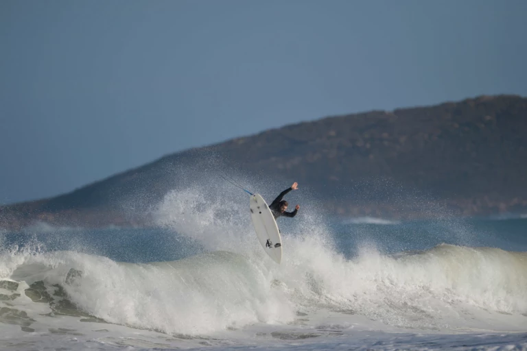 The Fight For The Bight