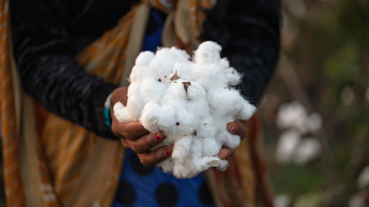 U.S. Cotton Growers Can Now Apply for the Climate Smart Cotton