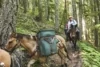 It Takes All Kinds: Horses and Bikes in the Washington Backcountry