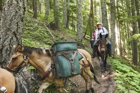 It Takes All Kinds: Horses and Bikes in the Washington Backcountry