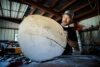 What the Trees Know: Solving the Mystery of Colorado’s Record Avalanche Season