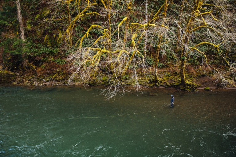 It's All Home Water: Steelhead Green - Patagonia Stories