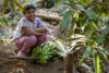 Una granja crece en la selva