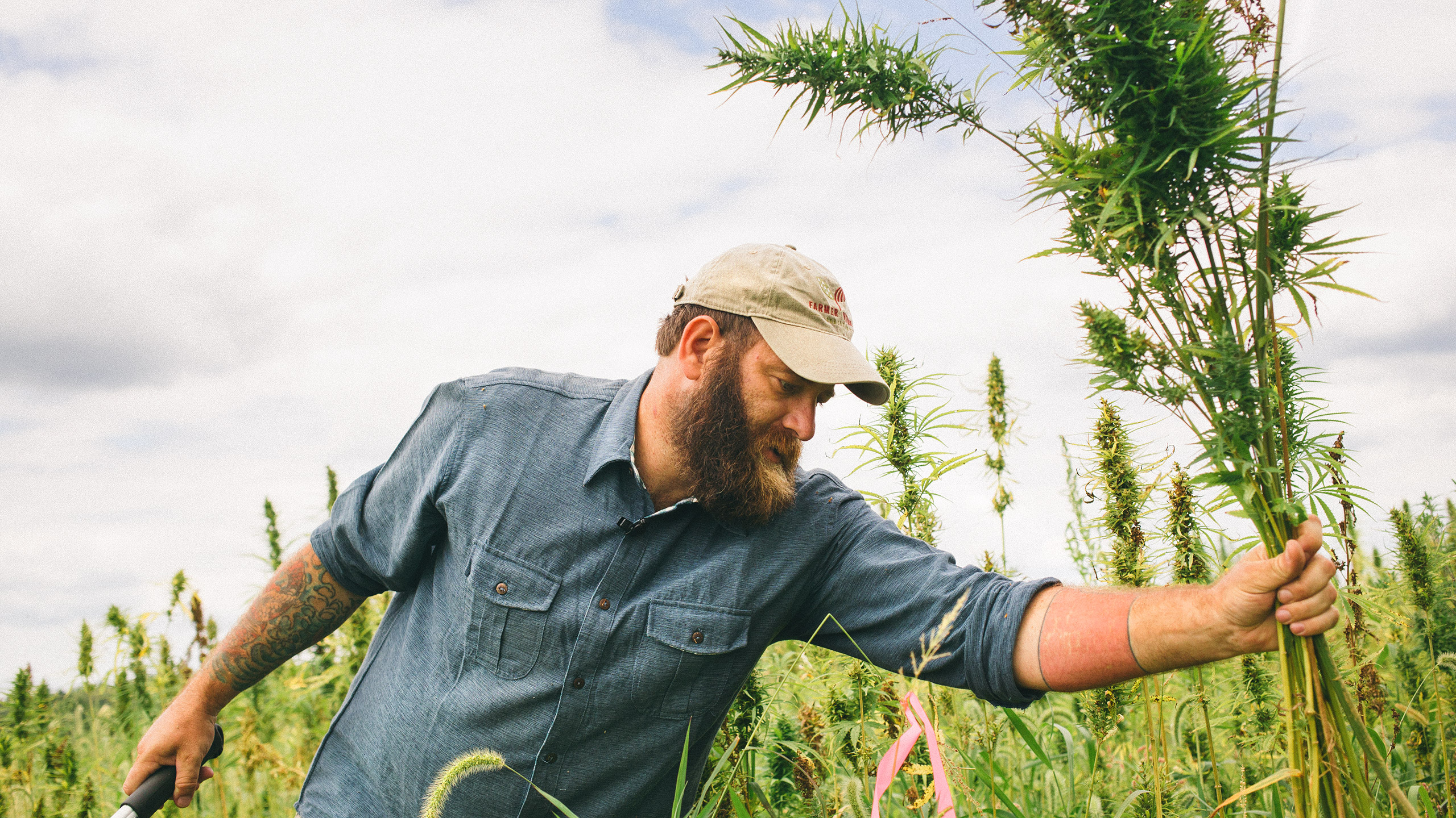 Фермерство в гамалеевке. Мастерята сити фермерство. Ранчо в рдр 2 эпилог. Фермерство в башне в одиночку 51 глава. Фермерство в башне в одиночку 51 глава.