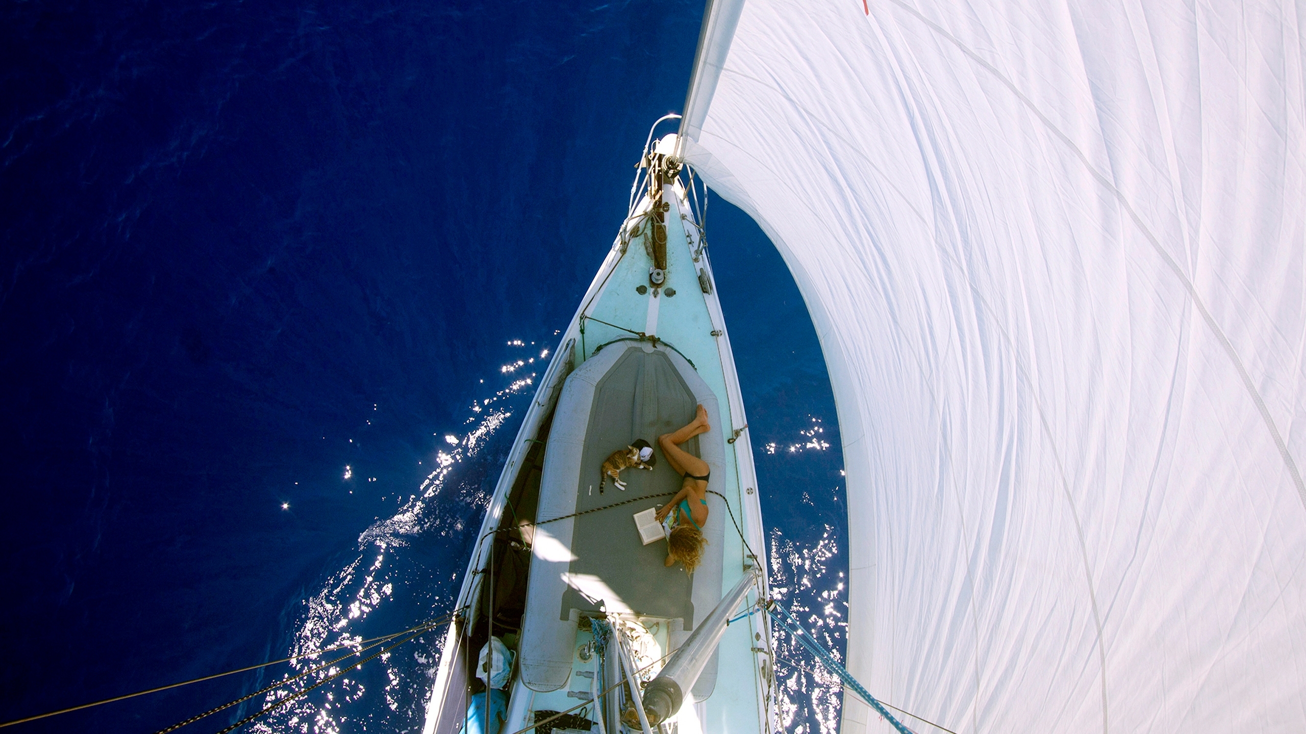 patagonia flying fish meaning