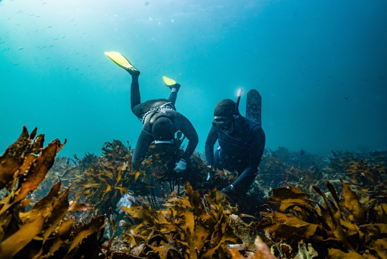 Carving Space for More Black Surfers - Patagonia Stories