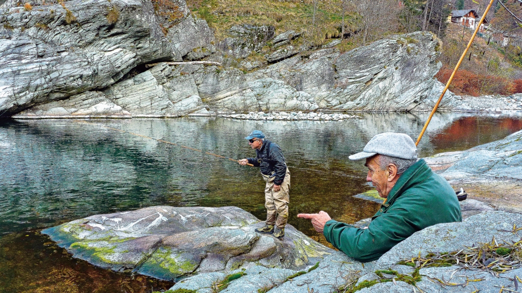 www.patagonia.com
