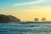 My Vision for Punta de Lobos