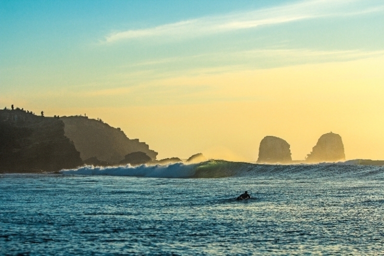 My Vision for Punta de Lobos