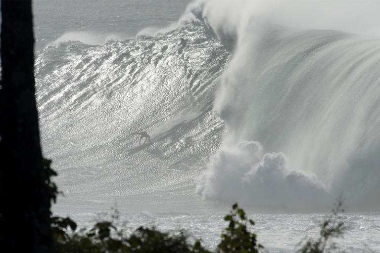 My Vision for Punta de Lobos