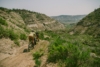 A Pedal Through the Prairie