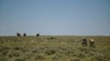 A Pedal Through the Prairie
