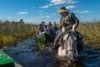 The Guide of the Marshes