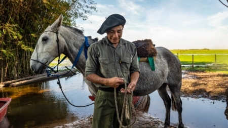 The Guide of the Marshes