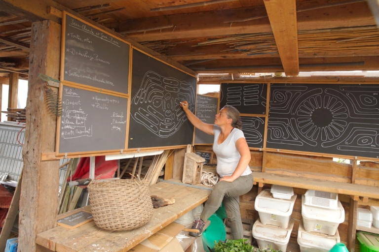 What One Small Farm Can Teach Us About Our Broken Food System