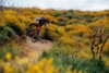 Best of Home, Volume 1: Backbone Trail