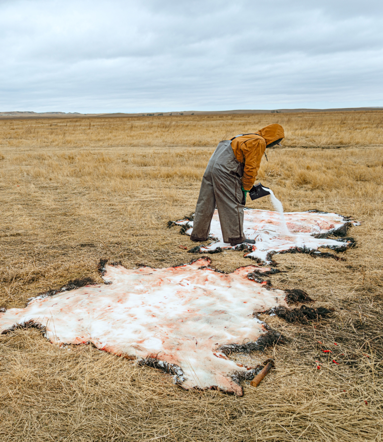 Bison Hide