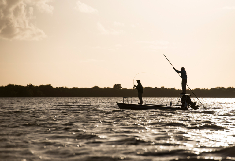 It’s All Home Water: The Crash of Florida's Tarpon Capitol