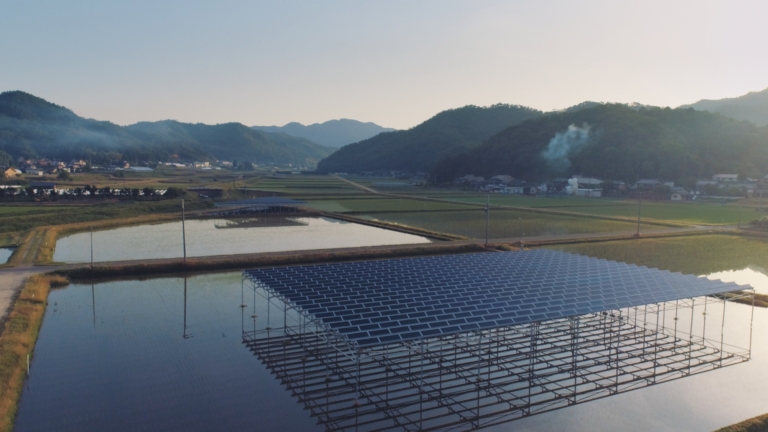 坪口農事未来研究所