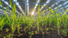 Green Reconstruction