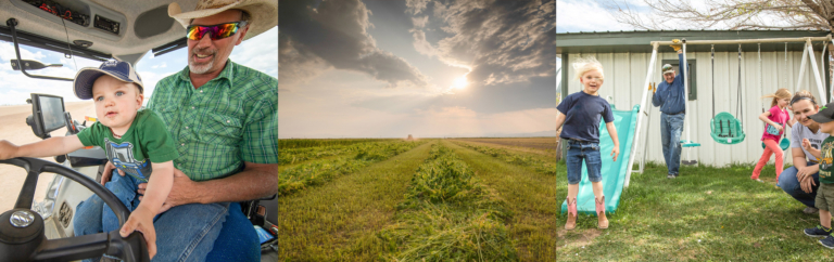 Bring Hemp Home: Colorado