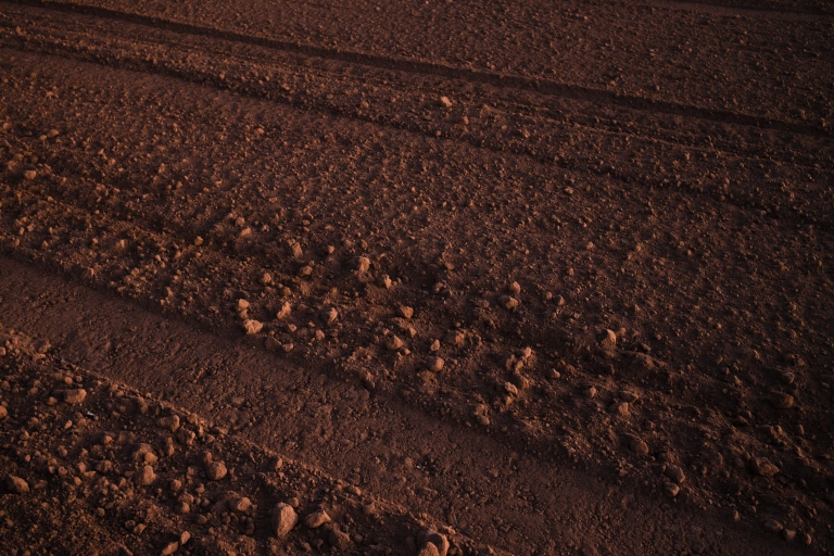 <i>&iexcl;&Eacute;chale ganas!</i>