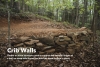 Timber or stone structures used to support the downhill edges of a trail on steep side slopes and hold the tread surface in place.