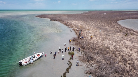 It’s All Home Water: The Bahamas