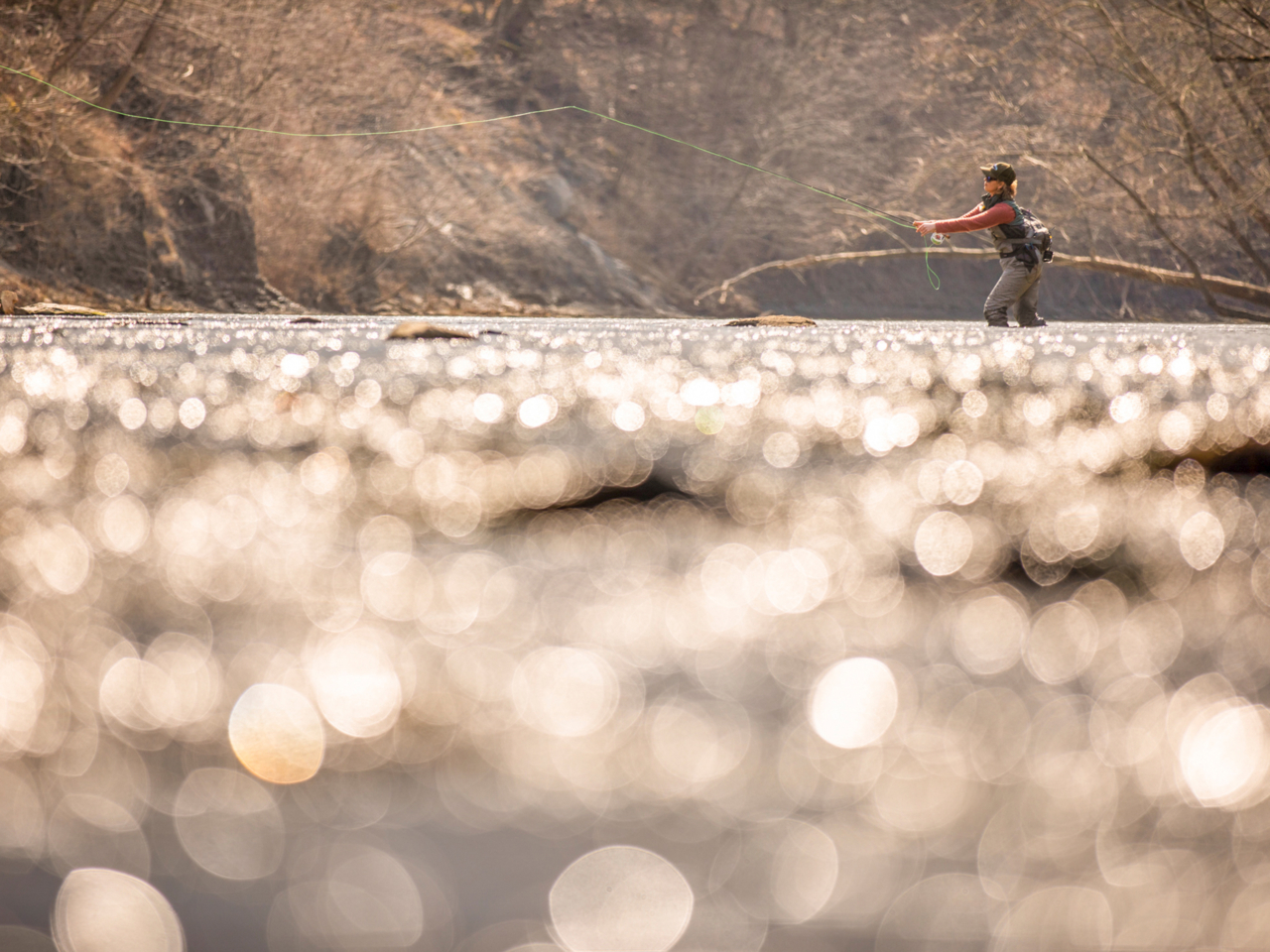 Common Carp | Solar Long Sleeve Shirt - Fly Fishing Journeys