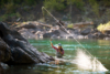 A person hooks a fish on their fly rod standing waist deep in emerald colored water.