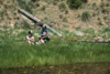 Two people and a dog sitting on the bank of a river drinking beverages.