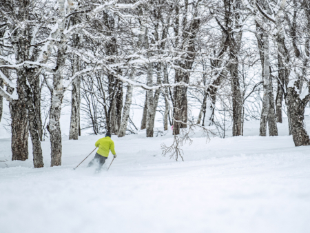 Good Snow in the Forest