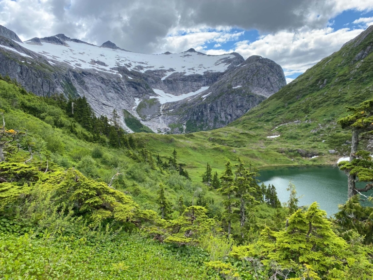 Going Deep into “America’s Climate Forest”