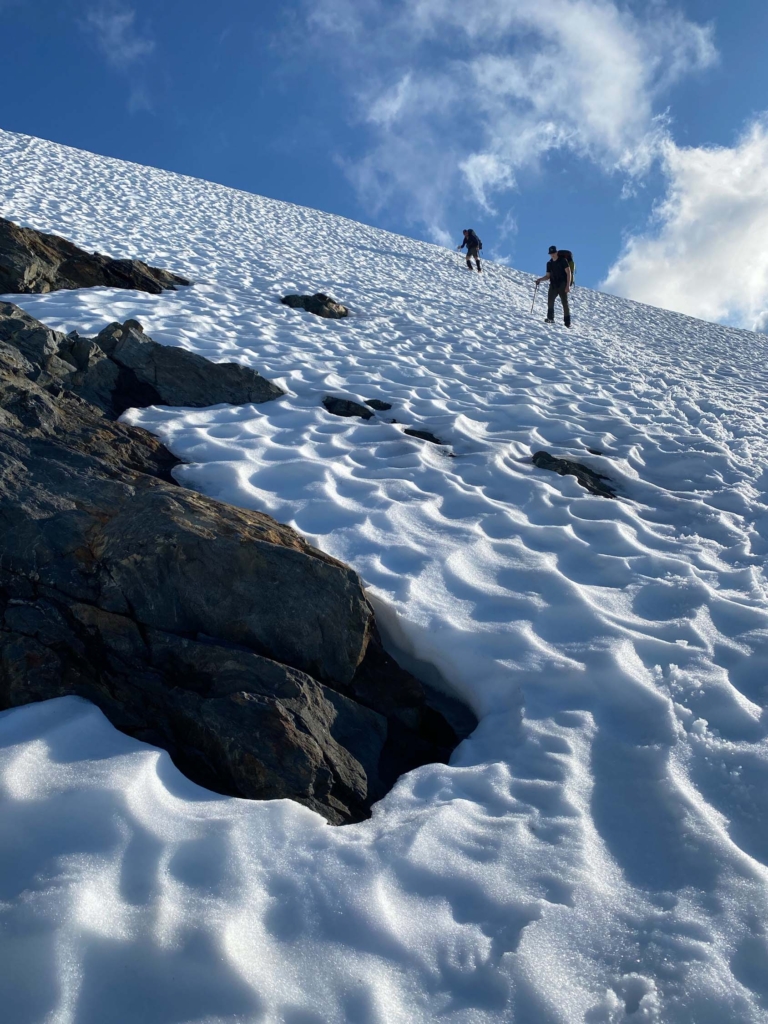 Going Deep into “America's Climate Forest” - Patagonia Stories