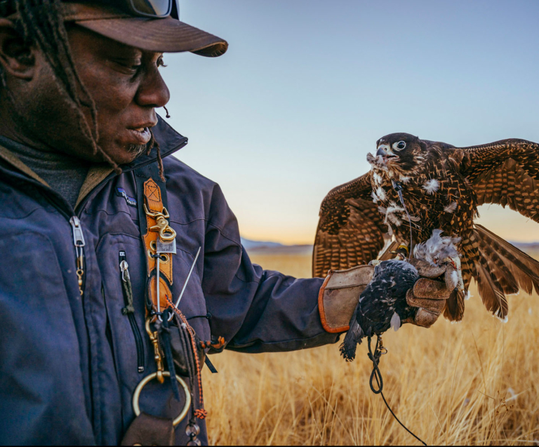 Game Hawker/鷹匠 - Patagonia Stories