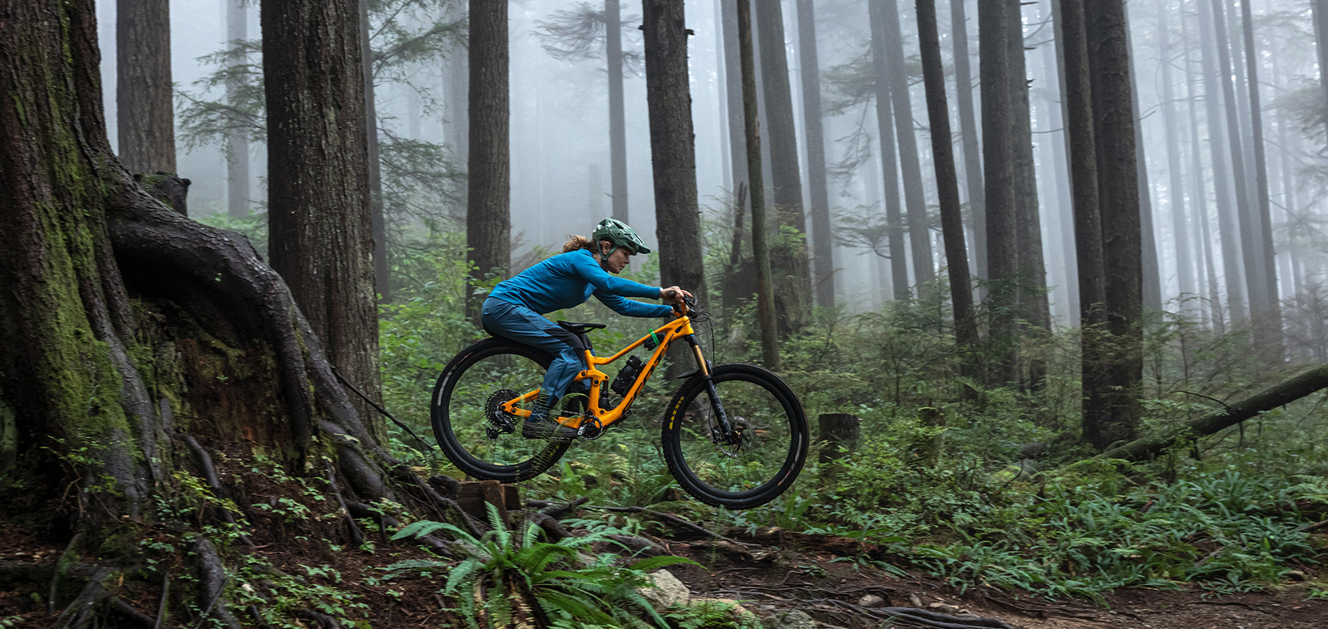 North Shore Betty - Patagonia Stories