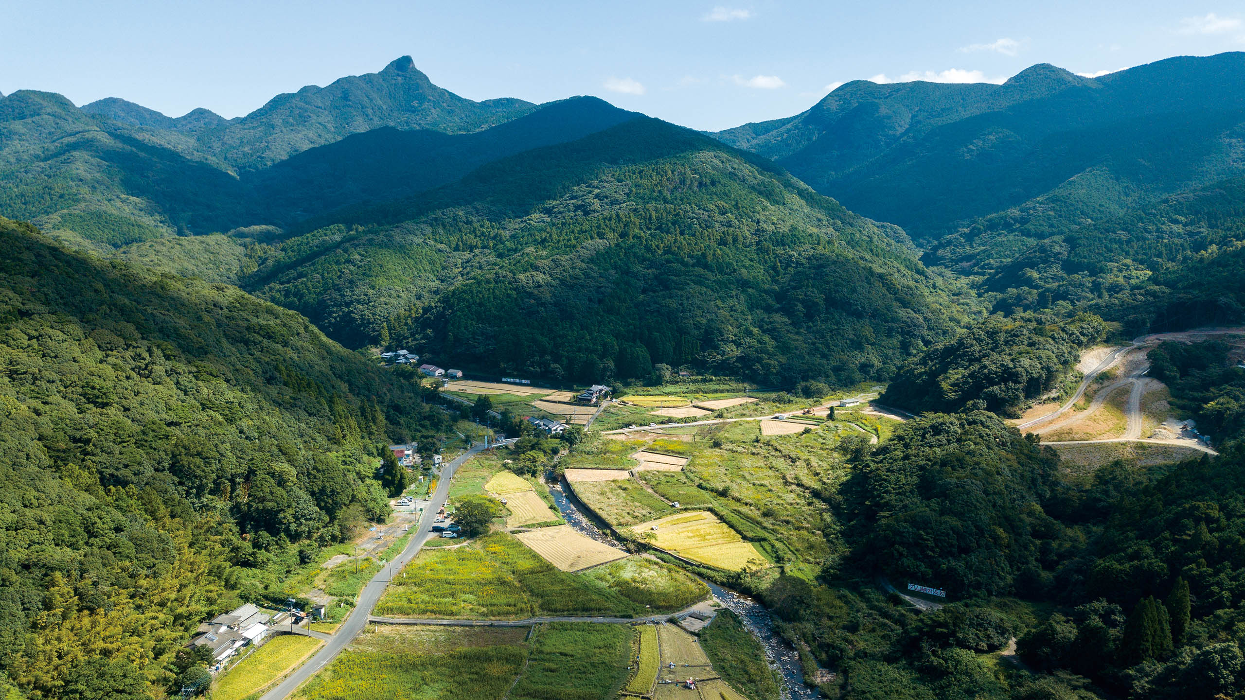 サンチャゴ　天然木　一枚板　衝立 つい立 オブジェ置物 徳川家康遺訓　日光 サンチャゴ様専用 天然木 一枚板 衝立 つい立 オブジェ置物 徳川