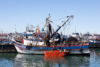 Cleaning Up Chile’s Coast