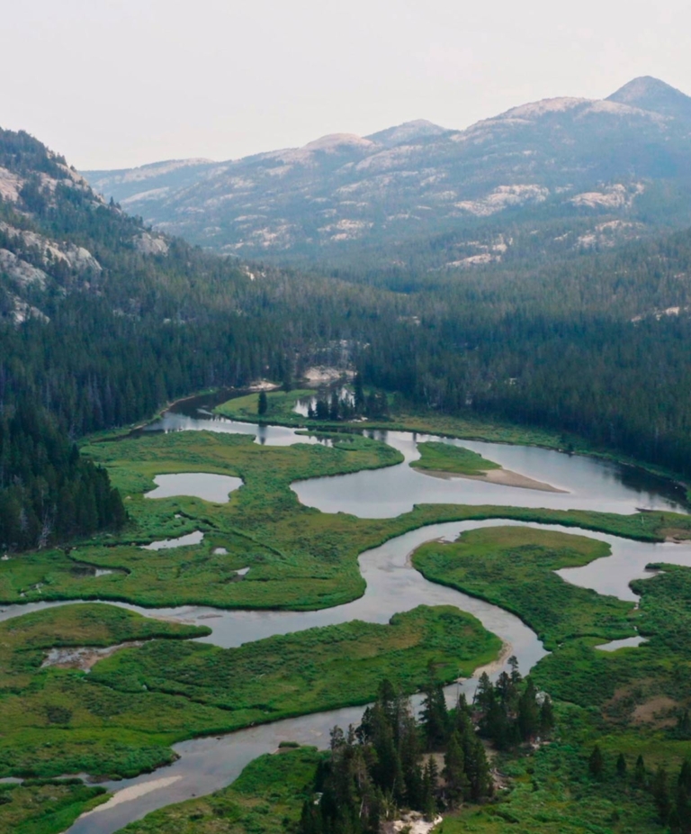 Fly Fishing Stories - Patagonia